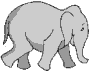 8-elephant-walking-fast_clipart, zoo